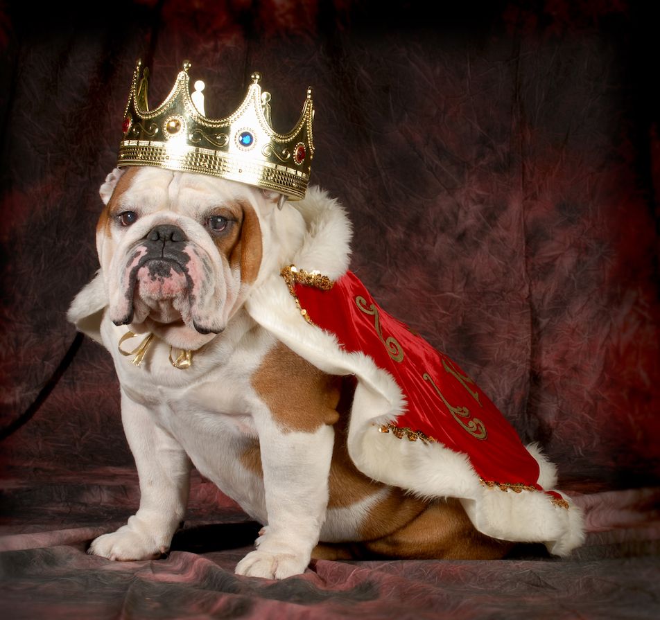 The Gossip Column: April 7, 2023